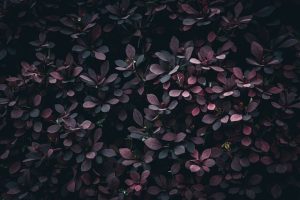 情节亮点与主线冲突的设定