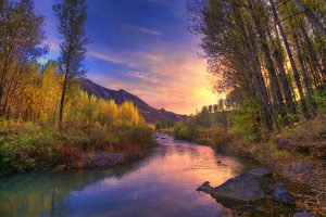 起点编辑山海的给作者的一份签约攻略