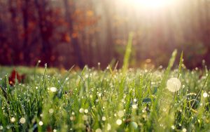 从十年老作者到飞卢编辑的一些话