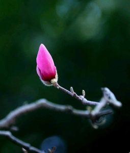 你为什么一直扑街？可能是这两点没有做好