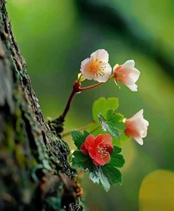 起点编辑的签约标准,什么稿子秒签，什么稿子秒毙