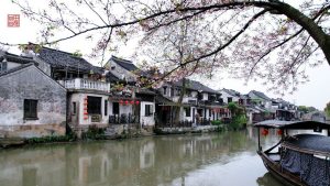 在番茄写小说写书的一个相对全面的总结