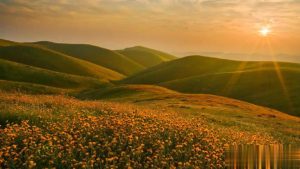 这是一份有基础的作者向精品冲击的攻略，请查收！