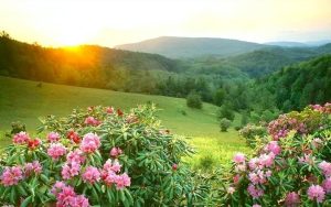 写网文如何高效开新书？