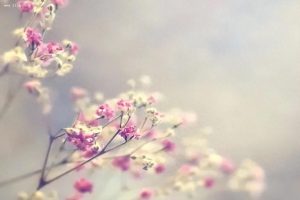 网文新手写作赚钱的前提