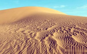 余秋雨：如何训练语言表述能力？