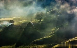 在番茄首秀起飞的经验之谈