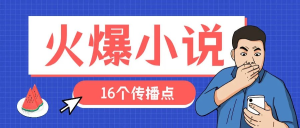 火爆小说的16个传播点