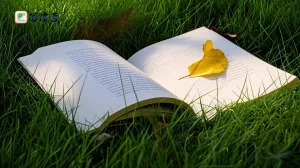 一文说透代入感的本质，以及增强代入感的方法