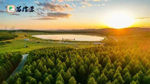 作者们：请在热爱与能力之间寻找写作的平衡点