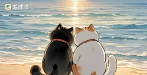 非常好用的万能小说写作公式拆解