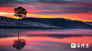 节奏感不好，或许不是你在注水，而是怕拖慢节奏的内心在作祟