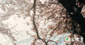 写给想入坑网文圈的你们，入坑前请先读一读这篇文章