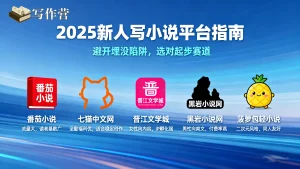 新人应该去哪些网站发表？2025对新人友好平台 TOP5解读