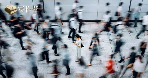 编辑最看重作者哪些特质？——来自一线网文编辑的真实反馈